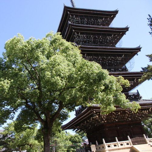 画像：第七十五番　五岳山 善通寺